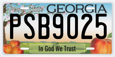 GA license plate PSB9025