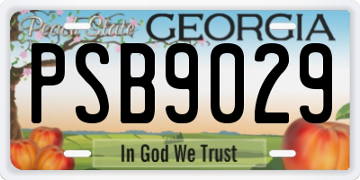 GA license plate PSB9029