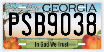 GA license plate PSB9038