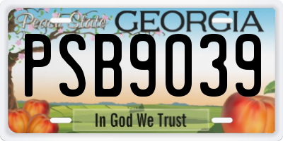 GA license plate PSB9039