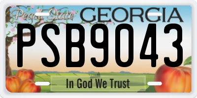 GA license plate PSB9043