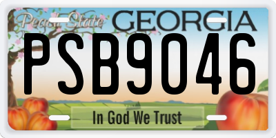GA license plate PSB9046
