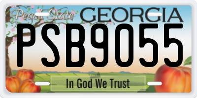 GA license plate PSB9055