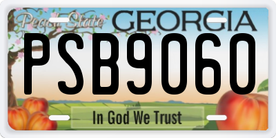 GA license plate PSB9060