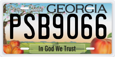 GA license plate PSB9066