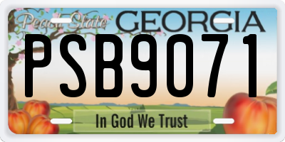 GA license plate PSB9071