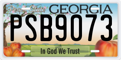 GA license plate PSB9073