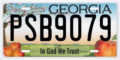 GA license plate PSB9079