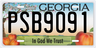 GA license plate PSB9091
