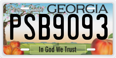 GA license plate PSB9093