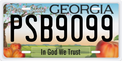 GA license plate PSB9099