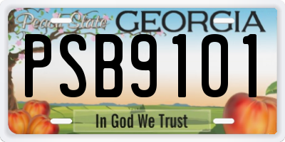 GA license plate PSB9101