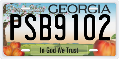 GA license plate PSB9102