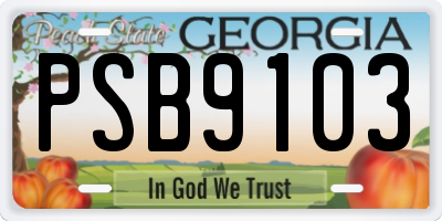 GA license plate PSB9103