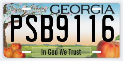 GA license plate PSB9116