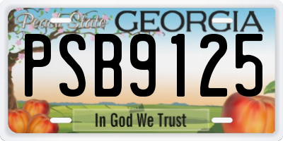 GA license plate PSB9125