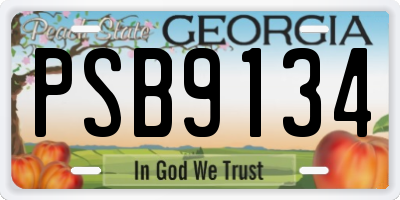 GA license plate PSB9134