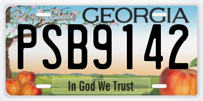 GA license plate PSB9142