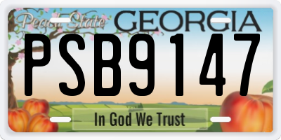 GA license plate PSB9147