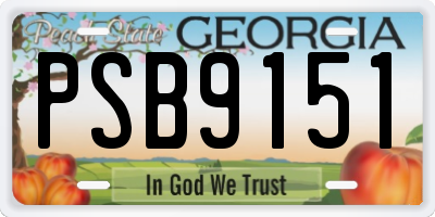 GA license plate PSB9151