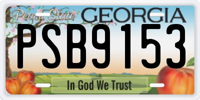 GA license plate PSB9153