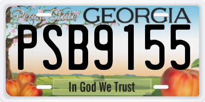 GA license plate PSB9155