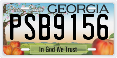 GA license plate PSB9156