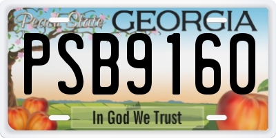 GA license plate PSB9160