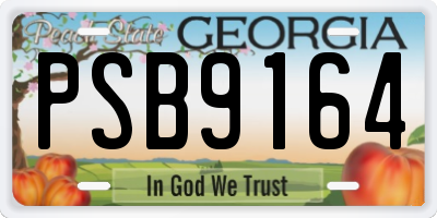 GA license plate PSB9164