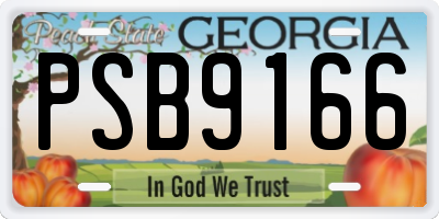 GA license plate PSB9166