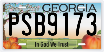 GA license plate PSB9173