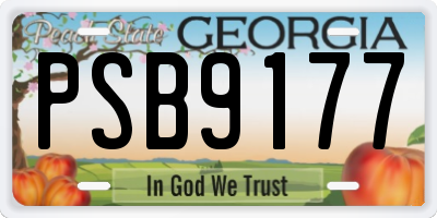 GA license plate PSB9177