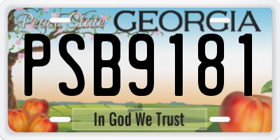 GA license plate PSB9181