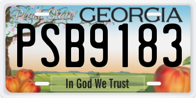 GA license plate PSB9183