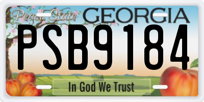 GA license plate PSB9184