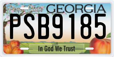 GA license plate PSB9185