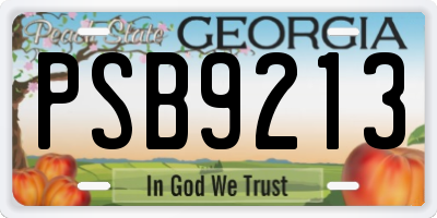 GA license plate PSB9213