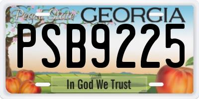 GA license plate PSB9225