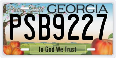 GA license plate PSB9227