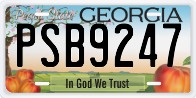 GA license plate PSB9247