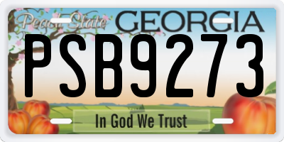 GA license plate PSB9273