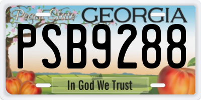 GA license plate PSB9288