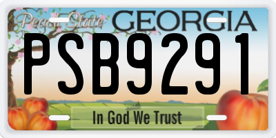 GA license plate PSB9291