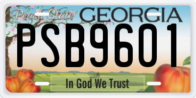 GA license plate PSB9601