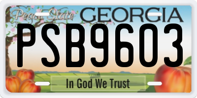 GA license plate PSB9603