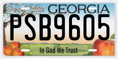 GA license plate PSB9605