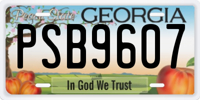 GA license plate PSB9607