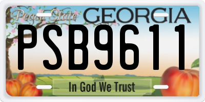 GA license plate PSB9611