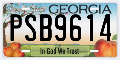 GA license plate PSB9614