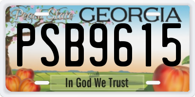 GA license plate PSB9615